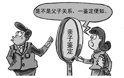 广州专业个人DNA亲子鉴定中心在哪儿，广州个人亲子鉴定准不准